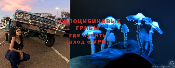 apvp Аркадак