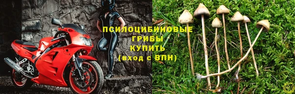 спиды Балахна
