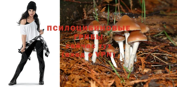 крисы Армянск