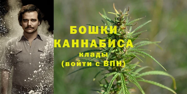 прущие крисы Баксан