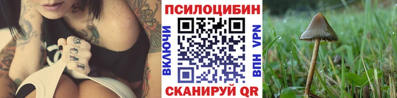 дарнет шоп  Белореченск  Галлюциногенные грибы GOLDEN TEACHER 